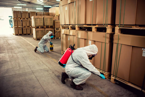 Best Bed Bug Extermination  in Brownsville, TX