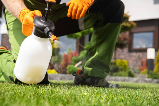 Wildlife Control Services in Brownsville, TX