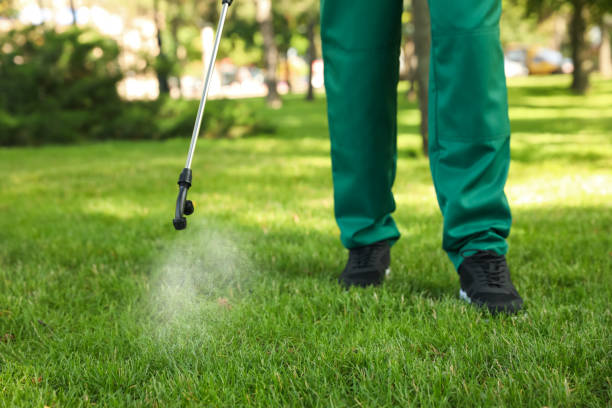 Best Exterminator Services  in Brownsville, TX