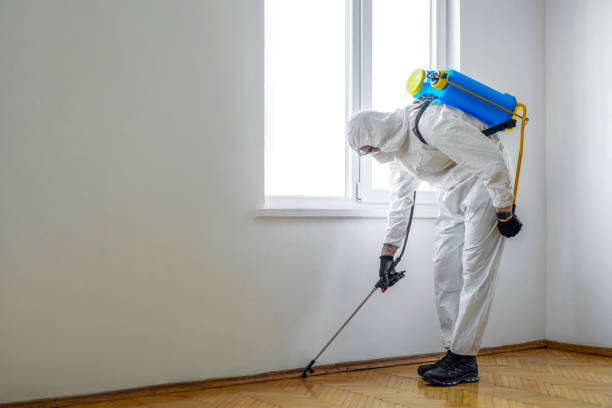 Best Best Pest Control Companies  in Brownsville, TX