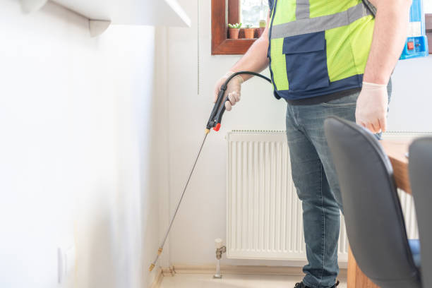 Best Emergency Pest Control  in Brownsville, TX