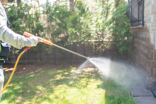 Best Affordable Pest Control Services  in Brownsville, TX