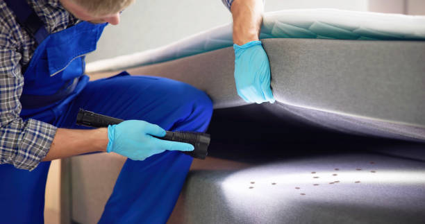 Best Best Pest Control Companies  in Brownsville, TX