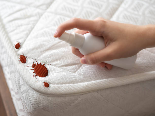 Best Pest Control for Businesses  in Brownsville, TX
