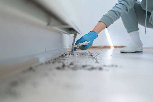 Best Commercial Pest Control Services  in Brownsville, TX